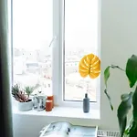 Apartment Old Town View - Boutique